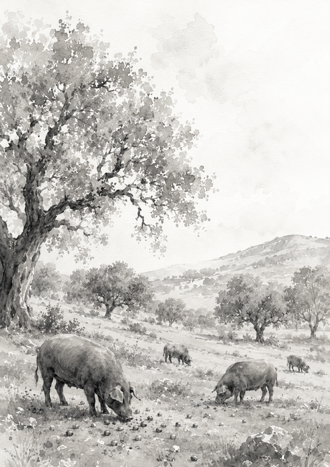 Proceso artesanal y origen de Conservas Guallar